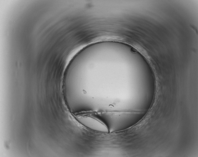 X0000102310912200808011600