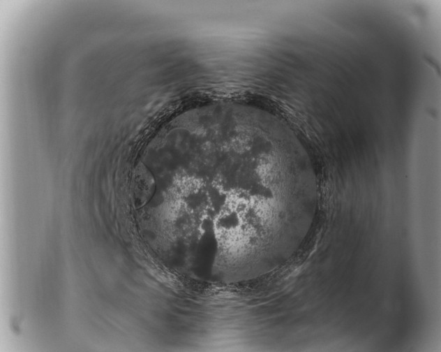 X0000102310913200808011559