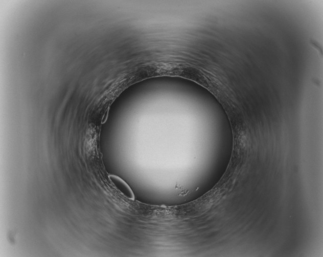 X0000102310914200808011559