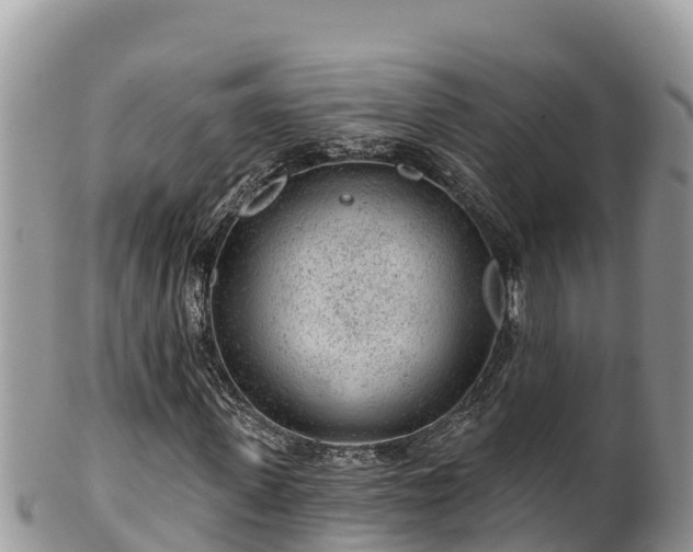 X0000102310915200808011559