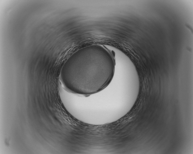 X0000102310916200808011559