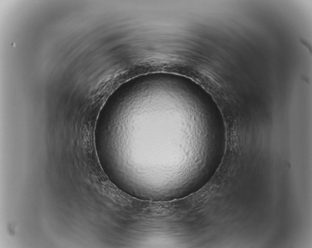 X0000102310917200808011559