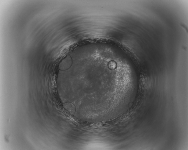 X0000102310918200808011559