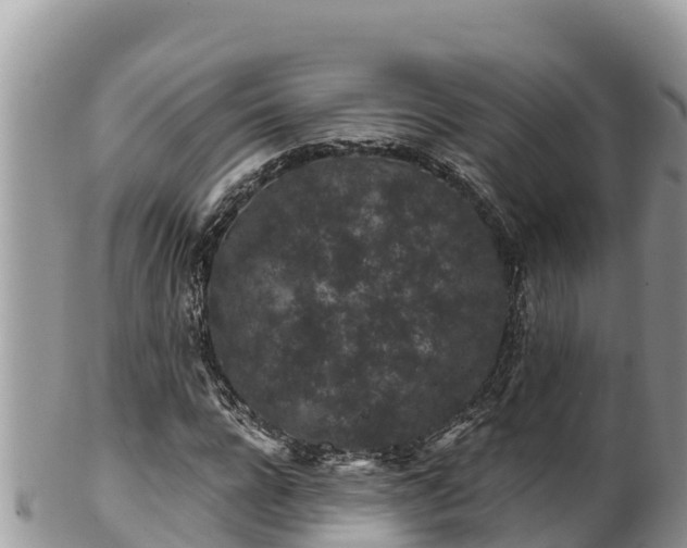 X0000102310920200808011559