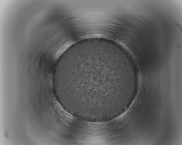 X0000102310921200808011559