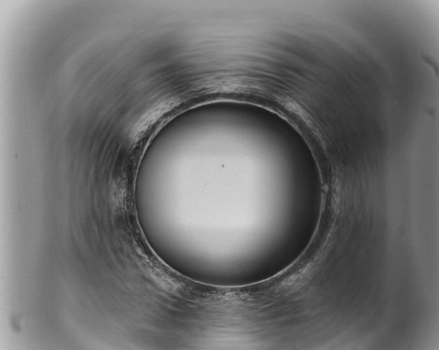 X0000102310922200808011559