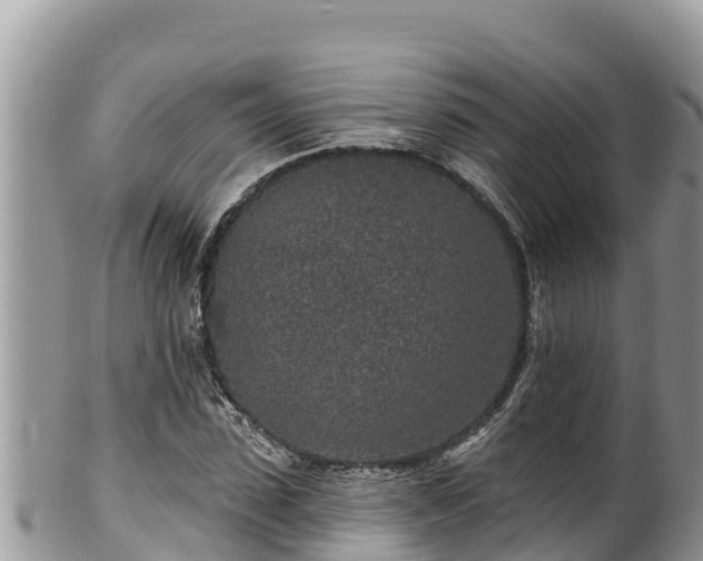 X0000102310923200808011559