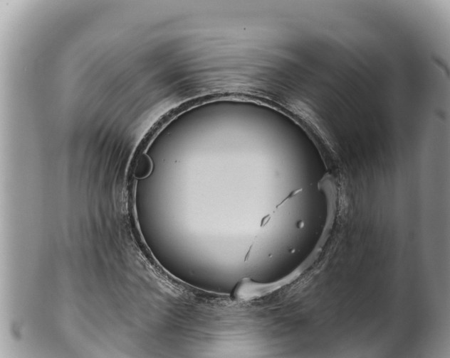 X0000102310924200808011559