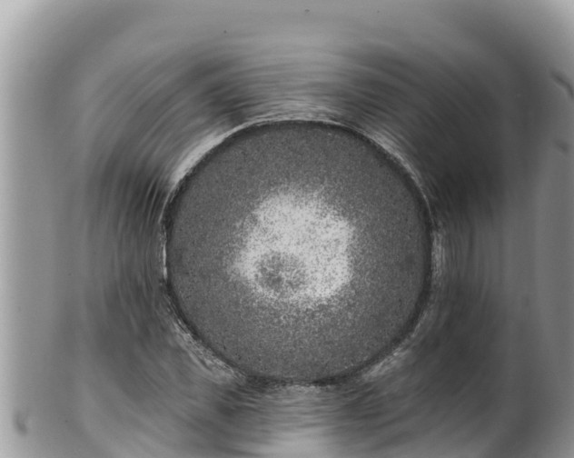 X0000102310925200808011559