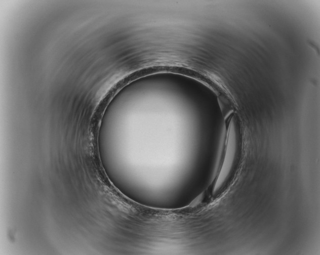 X0000102310926200808011559