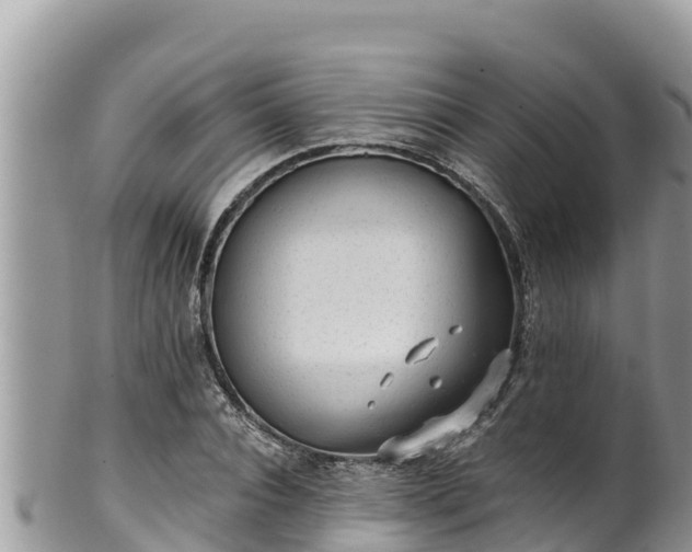 X0000102310928200808011559