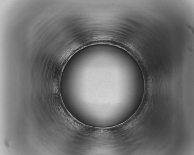 X0000102310929200808011559