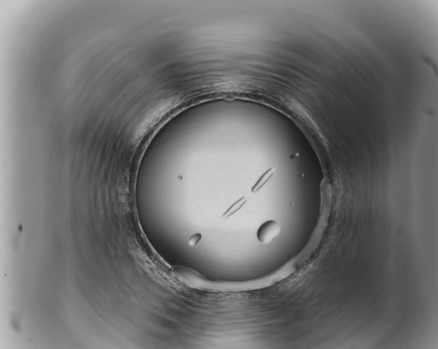 X0000102310930200808011559