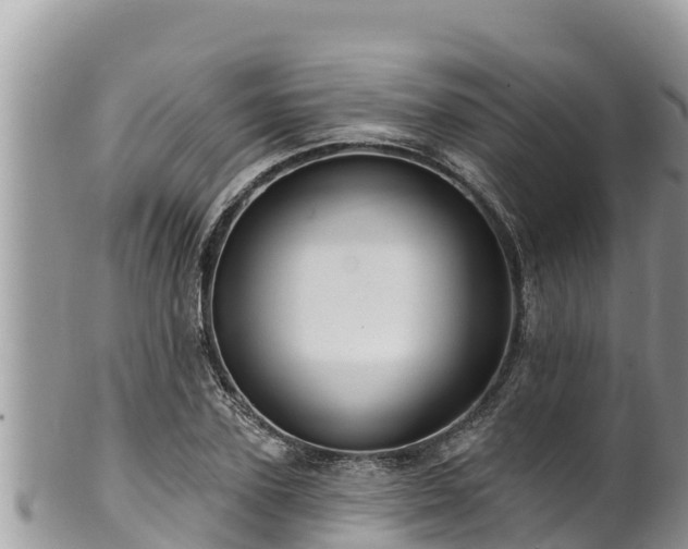 X0000102310931200808011559