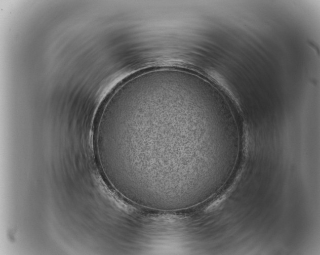 X0000102310932200808011559