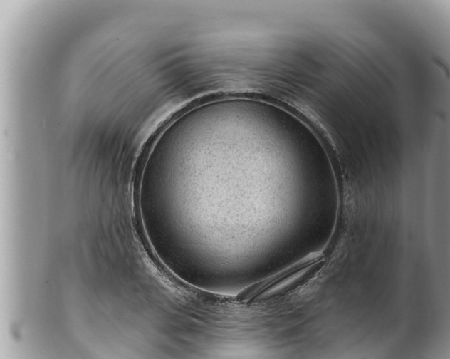 X0000102310935200808011559