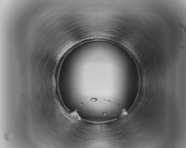 X0000102310936200808011559