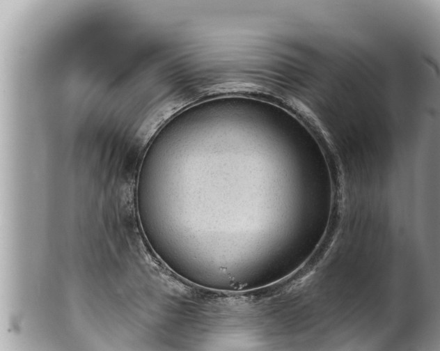 X0000102310937200808011559