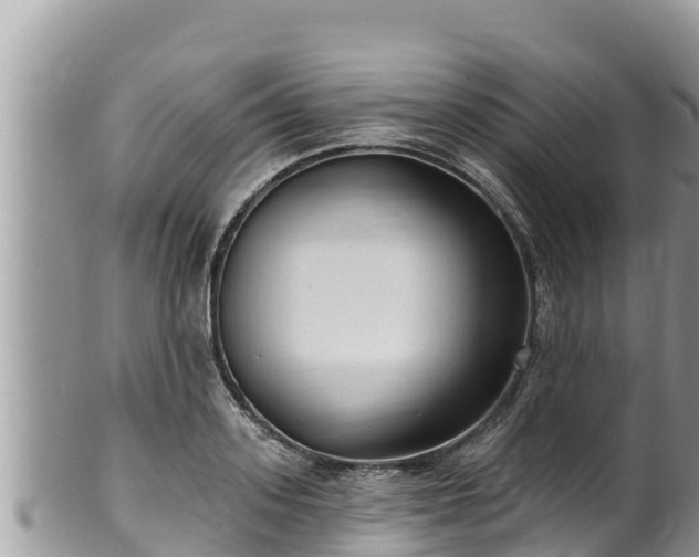 X0000102310939200808011559