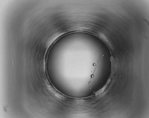 X0000102310940200808011559