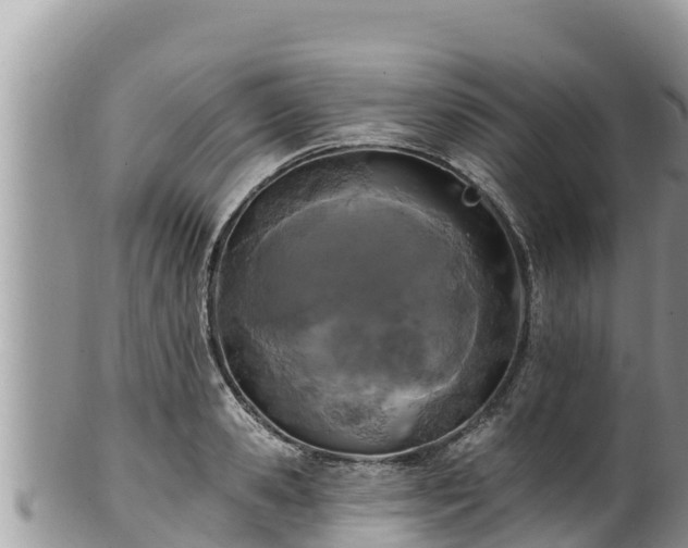 X0000102310941200808011559