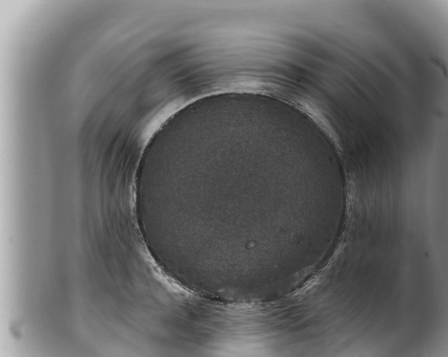 X0000102310944200808011559