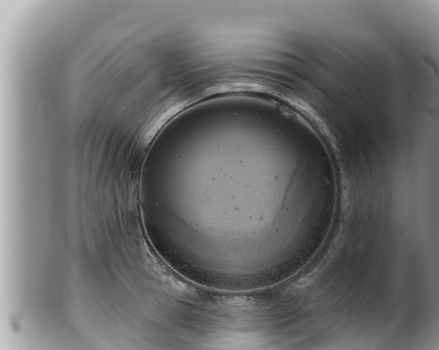 X0000102310945200808011559