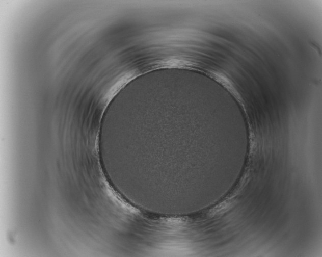 X0000102310946200808011559