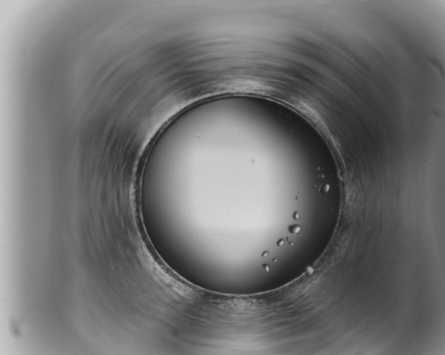 X0000102310947200808011559