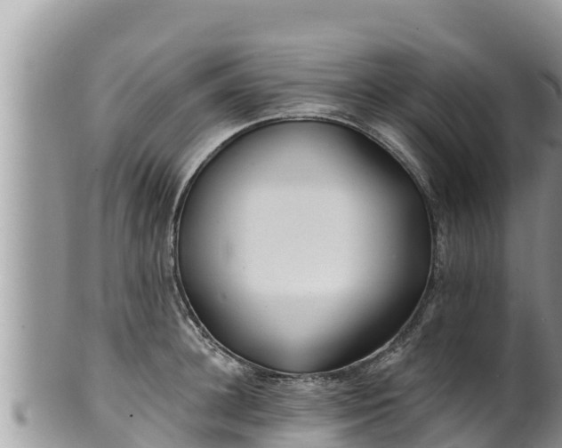 X0000102310948200808011559