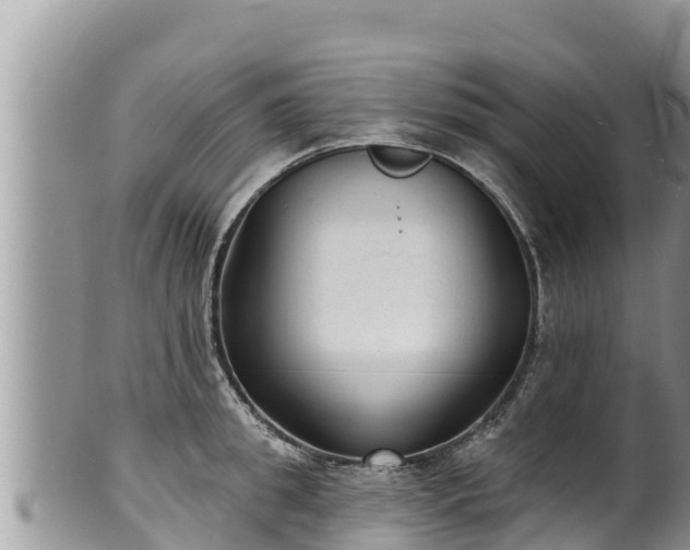 X0000102310949200808011559