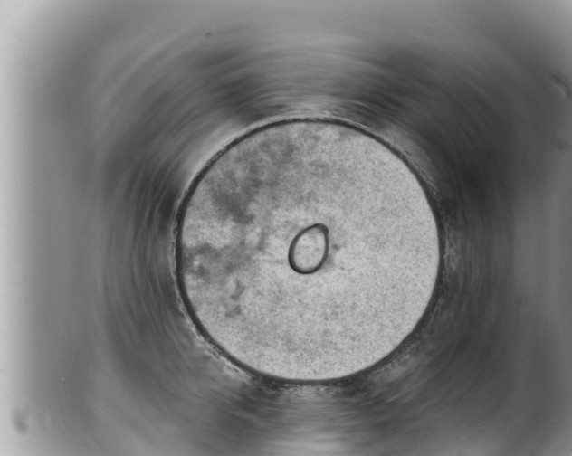 X0000102310950200808011559