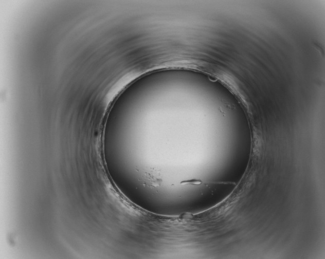 X0000102310952200808011559