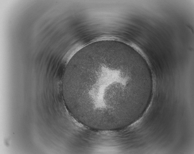 X0000102310953200808011559