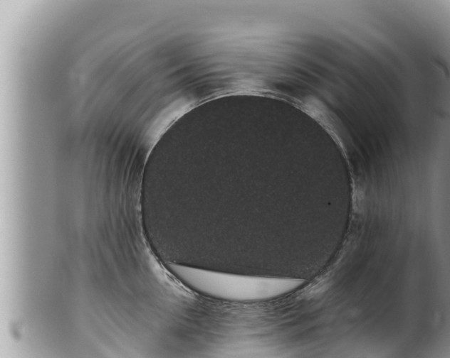 X0000102310954200808011559