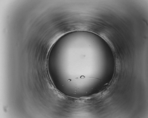 X0000102310956200808011559