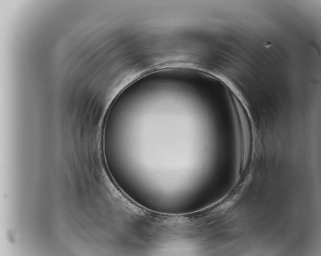 X0000102310957200808011559