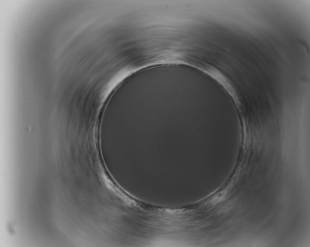 X0000102310958200808011559