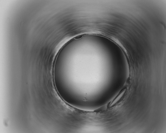 X0000102310959200808011559