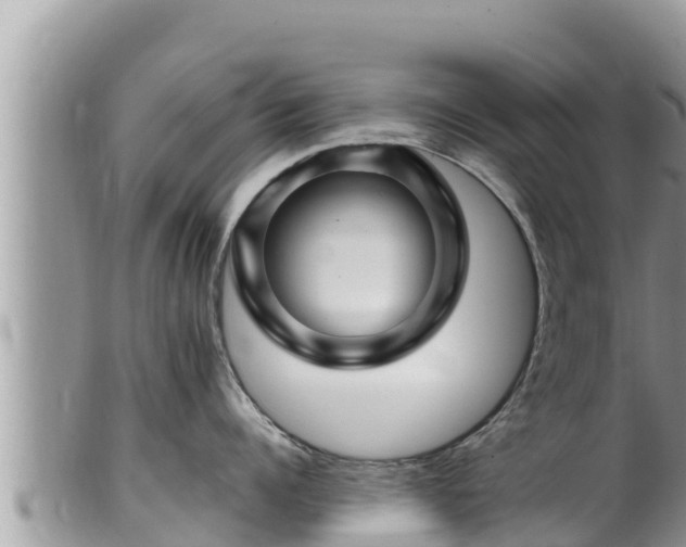 X0000102310960200808011559