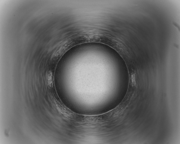 X0000102310963200808011559