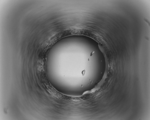 X0000102310964200808011559