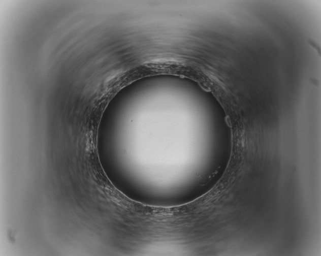 X0000102310965200808011559