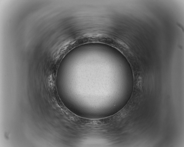 X0000102310966200808011559