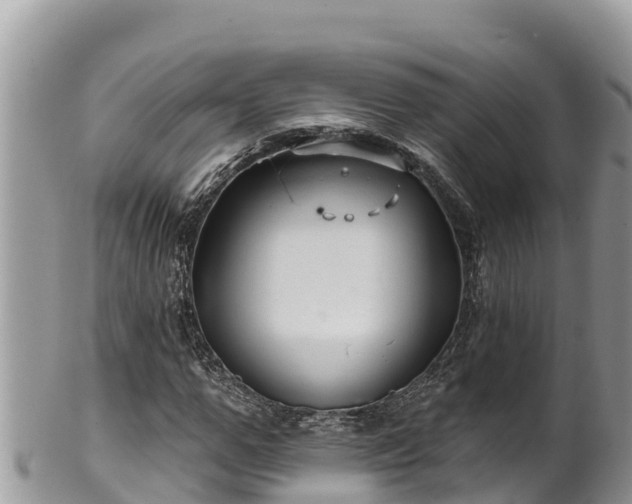 X0000102310967200808011559