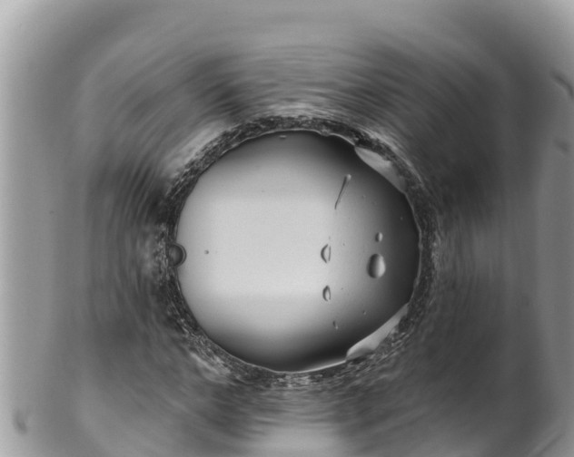 X0000102310968200808011559