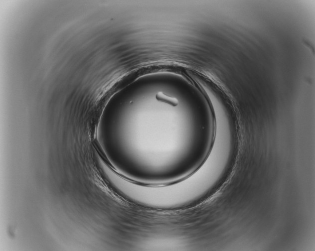 X0000102310969200808011559