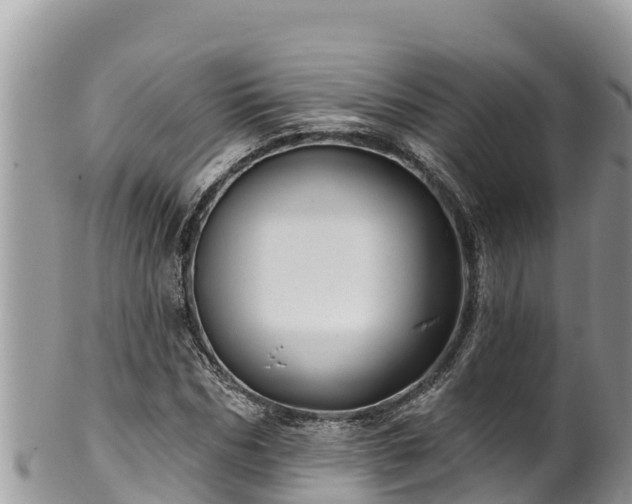 X0000102310970200808011559