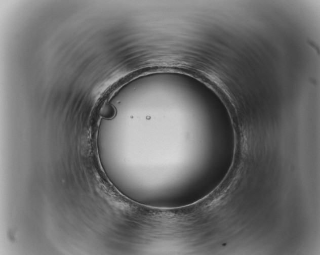 X0000102310971200808011559