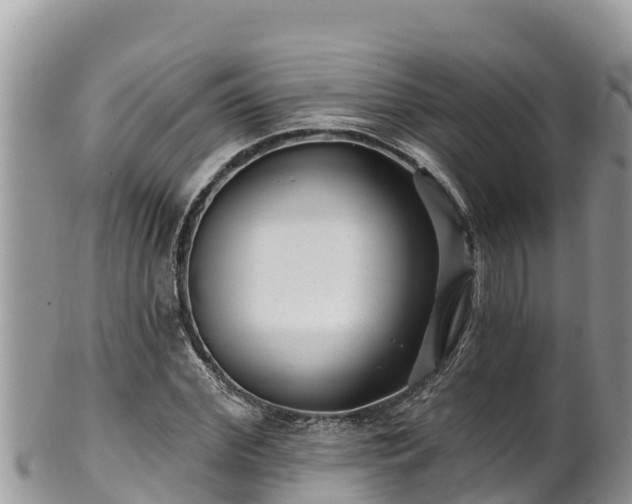 X0000102310972200808011559